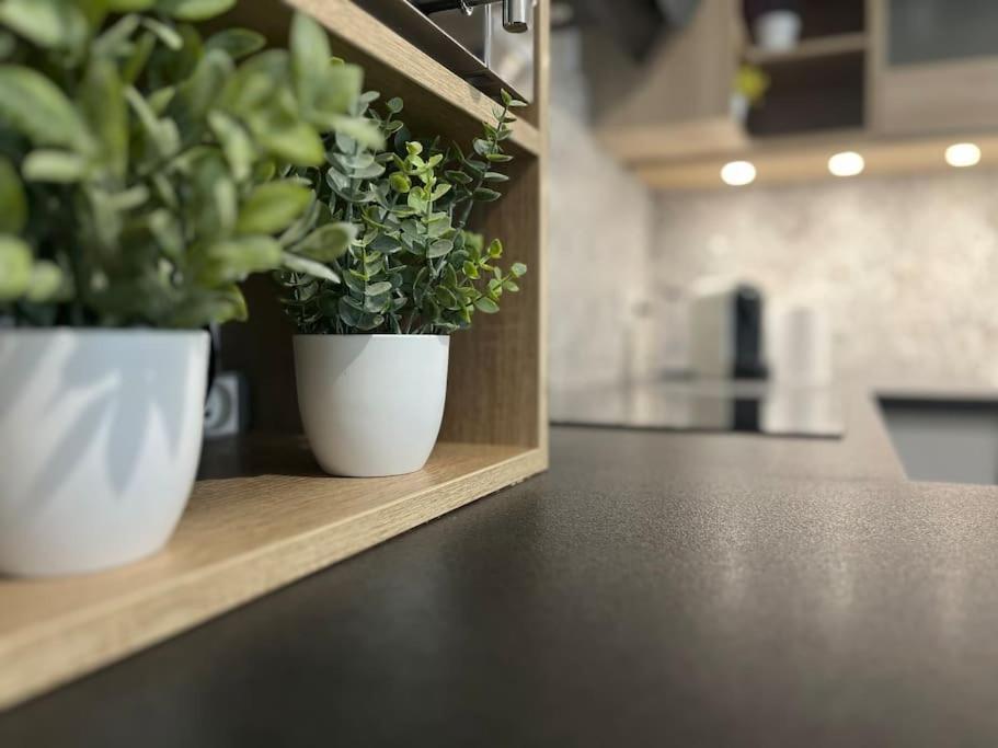 Appartement T2 Vue Panoramique Sur Annecy Seynod Dış mekan fotoğraf