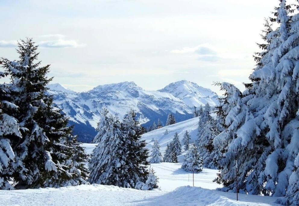 Appartement T2 Vue Panoramique Sur Annecy Seynod Dış mekan fotoğraf